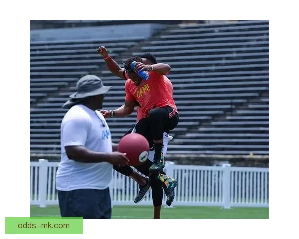 MK体育注册全新开启 专享优惠活动等你来参与 快速注册畅享精彩体育体验