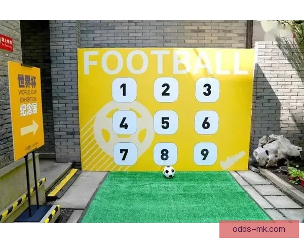 世界杯足球竞猜平台全方位解析打造最佳竞猜体验助你赢得更多奖励